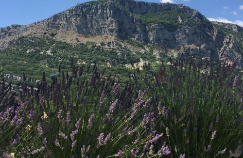 Coursegoules Cabin | Maison Nomade Provence - MaisonNomadeChic
