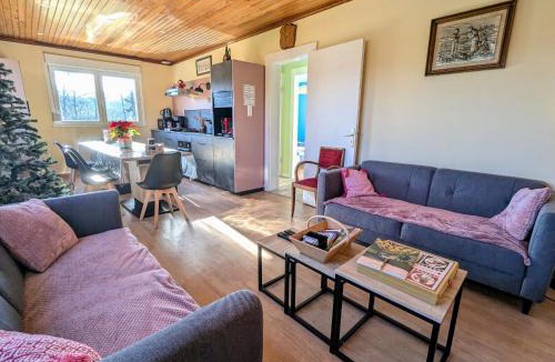 Fraize House | Maison spacieuse avec spa et terrain de jeux en lisière de forêt - FR-1-589-757