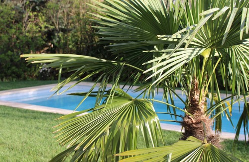 La Bruguiere House | Mas Les Romarins, 10min from Uzès, large garden with pool for families & friends