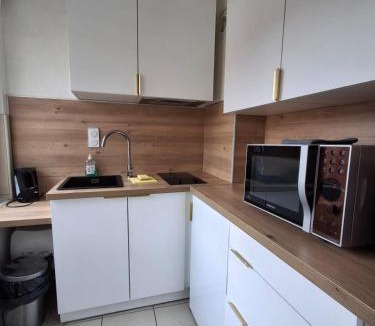 Les Iles Apartment | Metz Port Saint Marcel