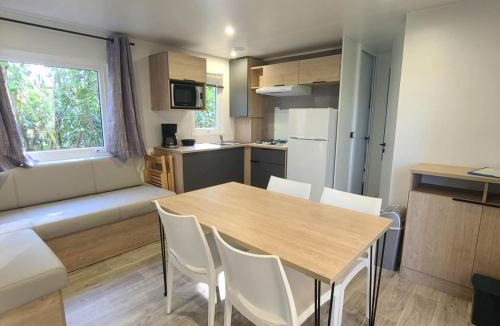 La Douze Other | Mobil-home avec Terrasse pour 6 personnes - API-1-52-1187