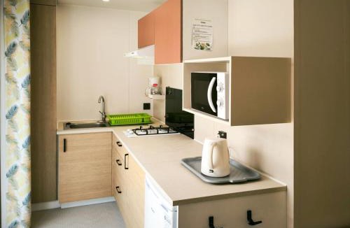Larzicourt Other | Mobil-home cosy, animaux OK - 2 pers. - API-1-52-2464