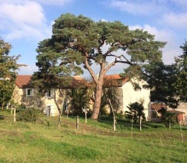 Montfaucon House | Moulin de la Ville Chamblon en Pleine nature parmi les chevaux proche château thierry
