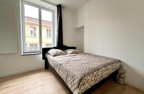 Saint-Pierre - Rene II - Bonsecours Apartment | Nancy centre La suite de la salle