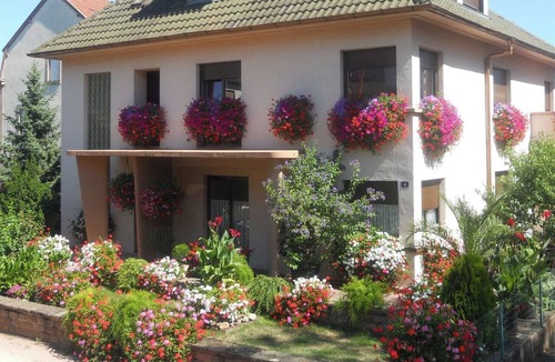 Thannenkirch Apartment | NEW APARTMENT, 85 KM VIEW of the FORÊT NOIRE. PETS ALLOWED.