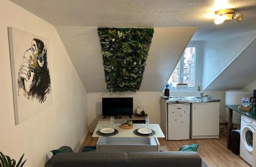 Troyes Apartment | Nid Douillet Proche Centre ville