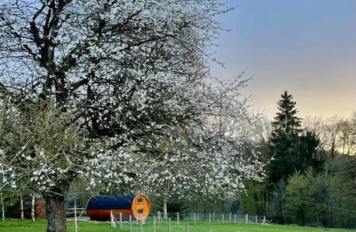 Florent-en-Argonne House | Nuit insolite en tonneau nature et animaux petit déjeuner inclus