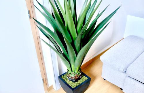 Sens Apartment | Oasis Love