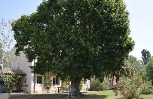Raphele-les-Arles Other | Old French Farmhouse, Pool, 10 minutes from Arles