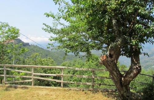 Berzi House | Pachamama