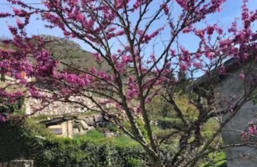 Caussou House | Paisible Gîte Familial en Ariège