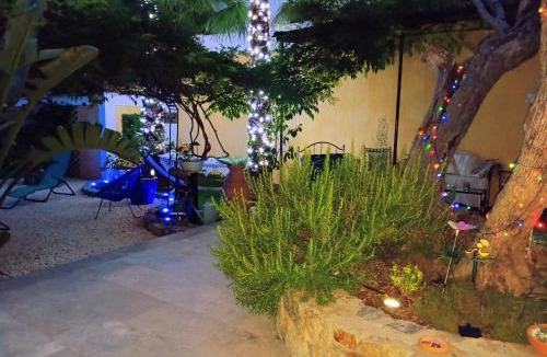 Cuers Villa | Palmiers en couleurs