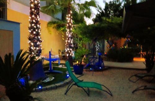 Cuers Villa | Palmiers en couleurs