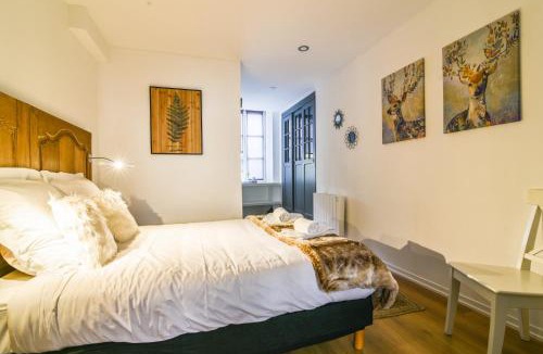 Phalsbourg Apartment | Parking - Le Wild Forest - Centre Historique