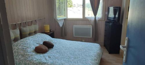 Capvern Apartment | Petit cocon sur les hauteurs de Capvern-les-Bains