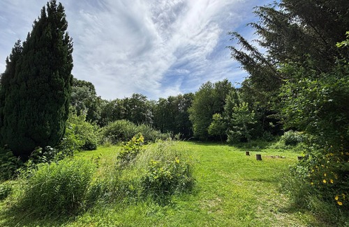 Sillery House | Petite maison à l'orée du bois