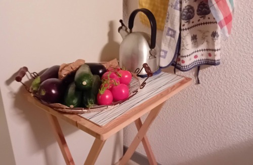 Aulus-les-Bains Apartment | Pleasant 31m² studio - On the GR10 and other footpaths in Aulus-les-Bains