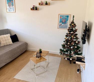 Saulcy-sur-Meurthe Apartment | Prix malin T2 1er étage