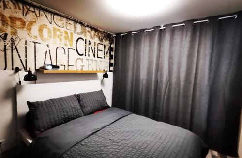 Saint-Pierre - Rene II - Bonsecours Apartment | Proche de Nancy centre, appart cinéma rénové avec parking gratuit, frais en été