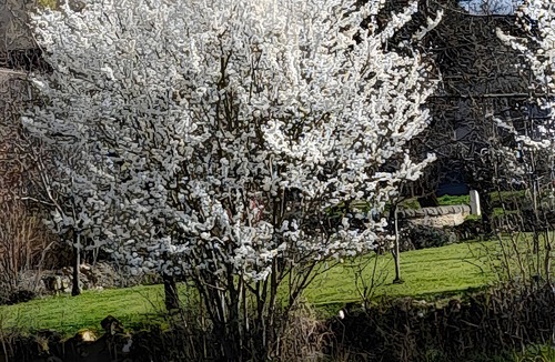 Corn House | Quercy House: Private Terrace, Garden & Balcony in the Célé Valley