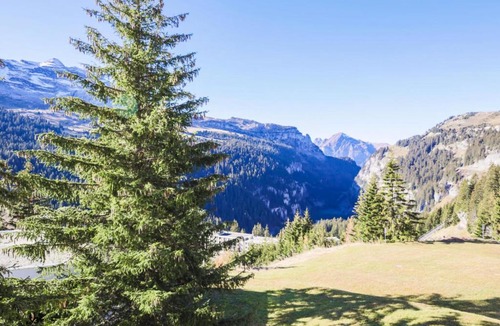 Flaine Apartment | Résidence Capricorne - maeva Home - Studio 4 Personnes - Budget MAE-3836