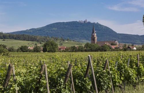 Bergheim Apartment | Résidence Odalys Le Domaine des Rois