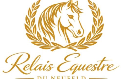 Still House | Relais Équestre du Neufeld - Suite ÉTÉ