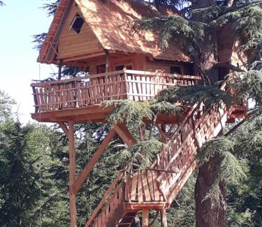 Cravenceres Bed & Breakfast | Relais du Haget