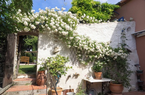 Le Beausset House | RENTALS IN THE PROVENCAL COUNTRYSIDE IN LE BEAUSSET (VARÀ)