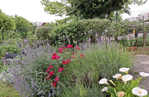 Les Noes-pres-Troyes Apartment | Sous le Figuier - LES NOES PRES TROYES