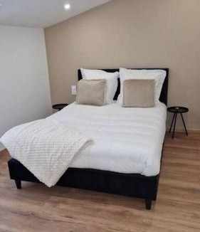 Bar-le-Duc Apartment | Spa des ducs loft 1