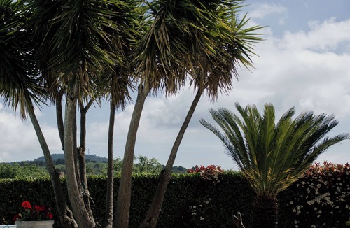 Saint-Cezaire-sur-Siagne Villa | Spacious 6-bedroom villa with AC, Pool and Independent Cottage