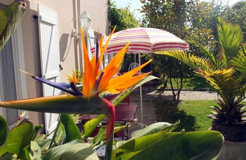 Courtoisville-Sillon-Moka Apartment | Spacious ground floor apartment with enclosed garden facing south