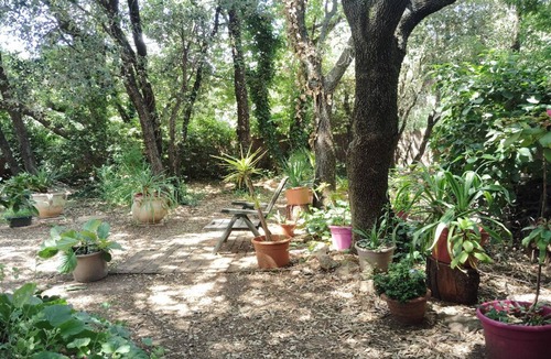 Rochefort-du-Gard Apartment | STUDIO 15 min from Pont du Gard and Avignon—swimming and canoeing—1 hour from the sea and mountains
