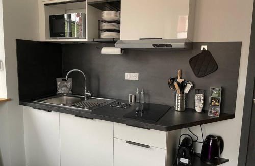 Horbourg-Wihr Apartment | Studio 3 étoiles avec grand JACUZZI PRIVÉ