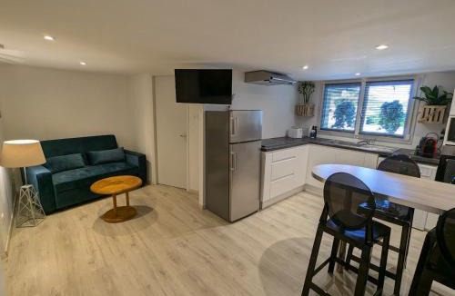 Dinoze Apartment | Studio cosy avec terrasse pr. à Epinal, parking compris - FR-1-589-661