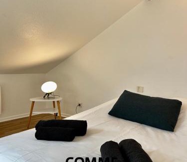 Vandoeuvre-les-Nancy Apartment | Studio, Le Petit Mika avec Stationnement Gratuit