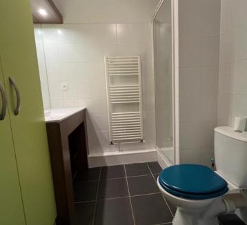 Montaudran - Lespinet Apartment | Studio WIFI TÉLÉ parking privé ,ENTREE AUTONOME