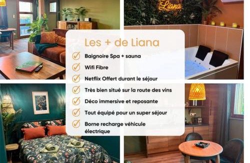 Rorschwihr House | Suite LIANA - SPA- SAUNA
