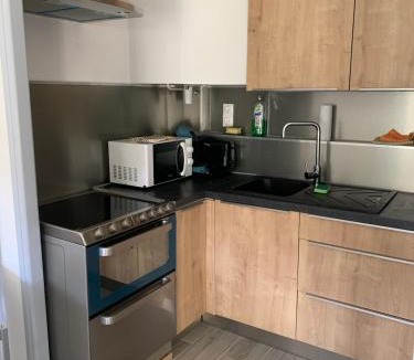 Ax-les-Thermes Apartment | T2 50m2 résidence les Acacias Vue Dégagée Montagne
