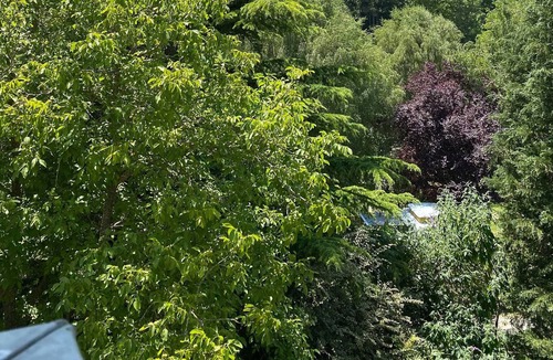 Luz-Saint-Sauveur Apartment | T2 CABIN in the center of Luz Saint-Sauveur (up to 6 people)