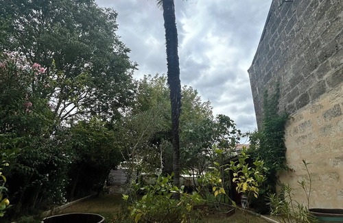 Bordeaux Sud Apartment | T2 DUPLEX 3RB Duplex apartment with garden terrace