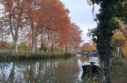 Ramonville-Saint-Agne Apartment | T2 in Ramonville close to the Canal du Midi and science schools