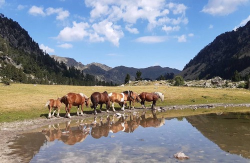 Cauterets Apartment | T3 near gondola in Cauterets for 6 people