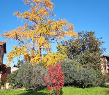 Remoulins Bed & Breakfast | Terrasse sur la rivière