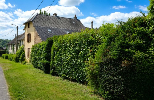 Montmeillant House | The Pianist's Stove Retreat: A Colorful, Artistic Country House & Garden