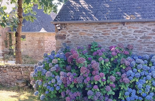 Saint-Fiacre House | Ty Vorn: A farmstay for a truly immersive experience—Le Clos d'Avaugour