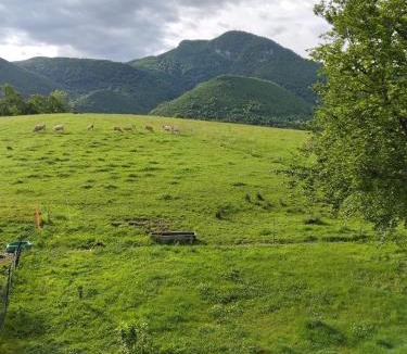Asson Apartment | Une pause au pied des Pyrénées