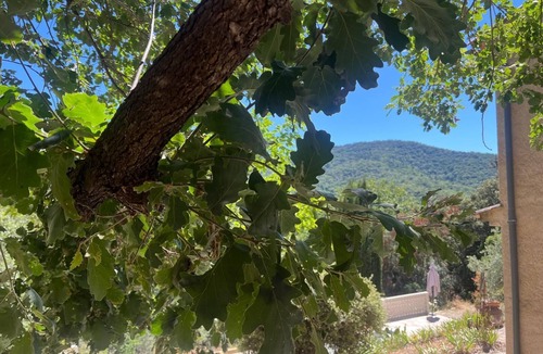 Collobrieres Villa | Vacation home in the forest - Quiet, exceptional setting, swimming pool.