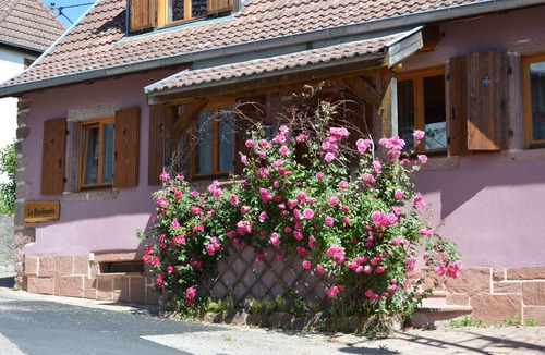 Thannenkirch House | Very nice house, garden, garage. Cocooning!Close to Ribeauville. Hiking